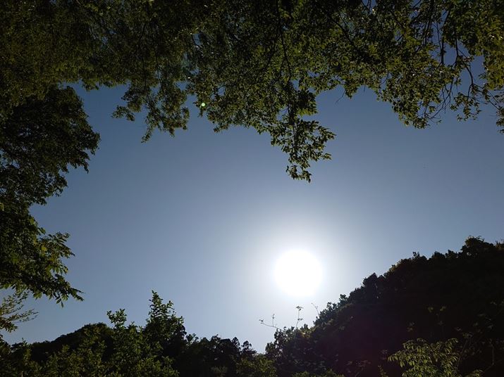 Xperia PRO-IAISO100AF2A1/12,000bBeʐ^i4032×3024A3.3MBj