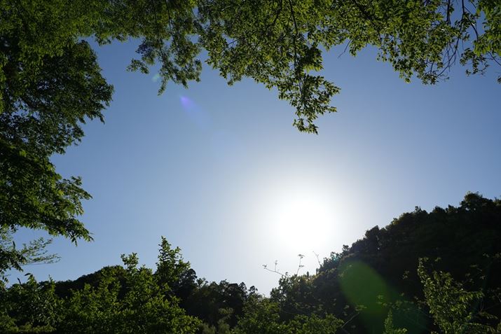 7 IVAFE 24-105mm F4 G OSSA24mmAISO100AF5.6A1/1,250bAzCgoXFI[gANGCeBubNFSTBeʐ^i7008×4672A22.1MBj