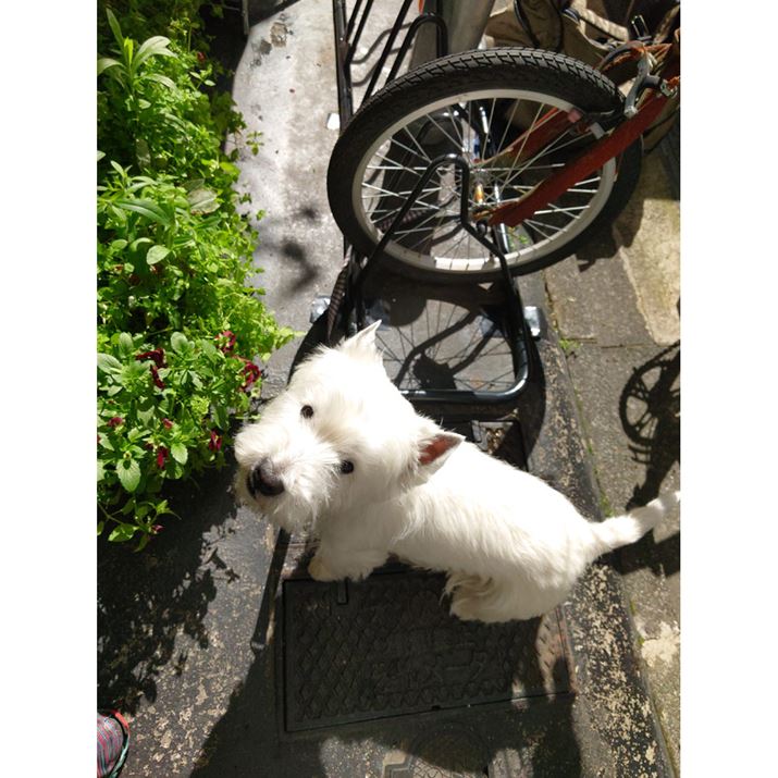 uXperia PRO-IvCPÚuQualcomm Snapdragon 888 5G Mobile PlatformvBnCXybNȃX}[gtHɂ́AfW^J̉摜GWɕCGA邢͂ȏ̐\CPUڂĂ܂Xperia PRO-IAISO400AF2A1/8000bBeʐ^i3024×4032A3.4MBj