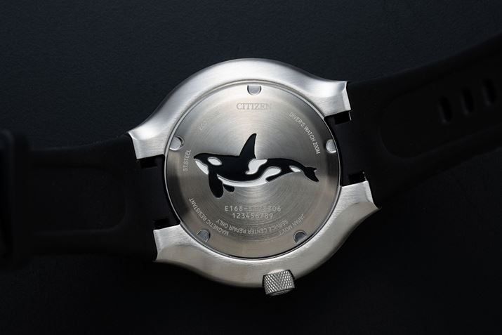 uGREhCu _Co[200mv̗u^ɍ󁕍ʐFŕ`ꂽIJBubN×zCg̑̐FA^̃VGbgAɗオ傫ȔwтȂǂۓIł