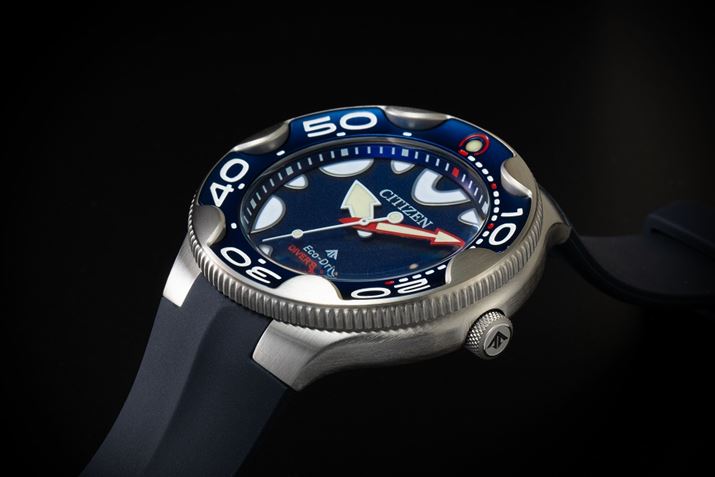 IKבRƉjnCzNfB[vu[𕶎Ձx[Ɏ荞񂾁uBN0231-01LvB̐_IȐwiɁAj̃bhfđN₩łBTCgi66,000~iōj