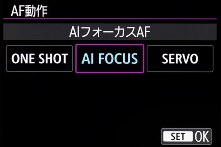 Lm̃~[Xł́AuAFvŁuT[{AFvIBgpuEOS R6 Mark IIvɂ́AʏAFƁuT[{AFvŐ؂ւuAItH[JXAFvڂĂB̋@\𗘗p̂ЂƂ̎肾