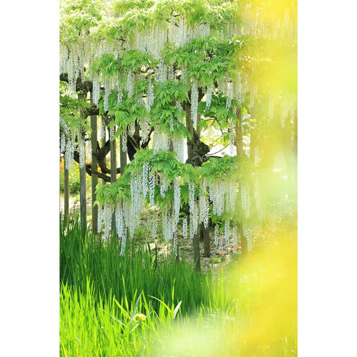 ԁX̎Beł́AO{PʓIȃANZgɂȂBOɔʑ̂zułV[ł܂_Ă݂悤EOS R6 Mark IIARF100mm F2.8 L MACRO IS USMAF2.8A1/2500bAISO800AzCgoXFziB1AG3jAsN`[X^CFiBeʐ^i4000×6000A12.5MBj