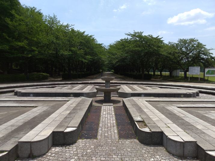 ꂽ̉OBeB؂ƁAN₩قǋĂ炸AނWȂقB܂A\}̒ȊO͉掿̍rꂪڗA𑜊ቺiBeʐ^F8MBj