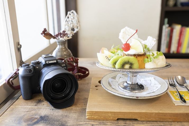 Ȃ̂ŁuEOS R10vƋLO1iuEOS R6 Mark IIvŎBej