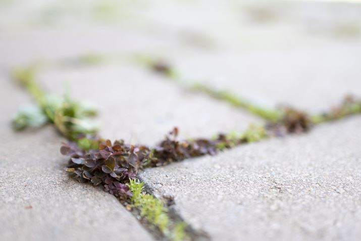 EOS R10ARF24mm f1.8 MACRO IS STMA24mmi35mmZ38mmjAF1.8A1/200bAISO100AzCgoXFI[gAsN`[X^CFX^_[hBeʐ^i6000×4000A8.2MBj