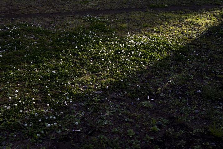 EOS R10ARF24mm f1.8 MACRO IS STMA24mmi35mmZ38mmjAF1.8A1/1250bAISO100AzCgoXFI[gAsN`[X^CFX^_[hBeʐ^i6000×4000A15.2MBj