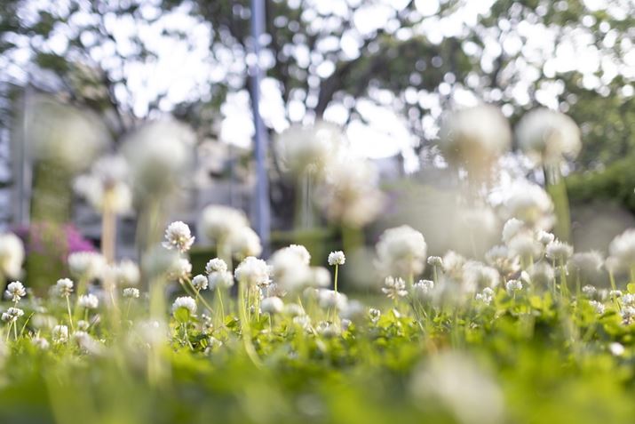 EOS R10ARF24mm f1.8 MACRO IS STMA24mmi35mmZ38mmjAF1.8A1/320bAISO100AzCgoXFI[gAsN`[X^CFX^_[hBeʐ^i6000×4000A9.4MBj