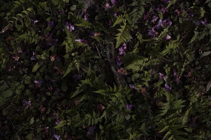 ƂԂAUēyɊ҂낤ƂĂԂDEOS R10ARF24mm f1.8 MACRO IS STMA24mmi35mmZ38mmjAF5.6A1/640bAISO100AzCgoXFI[gAsN`[X^CFX^_[hBeʐ^i6000×4000A10.5MBj