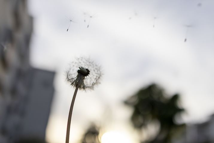 EOS R10ARF24mm f1.8 MACRO IS STMA24mmi35mmZ38mmjAF1.8A1/4000bAISO100AzCgoXFI[gAsN`[X^CFX^_[hBeʐ^i6000×4000A8.0MBj