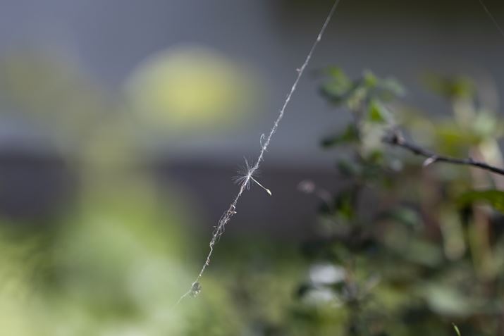 EOS R10ARF24mm f1.8 MACRO IS STMA24mmi35mmZ38mmjAF1.8A1/1250bAISO100AzCgoXFI[gAsN`[X^CFX^_[hBeʐ^i6000×4000A9.0MBj