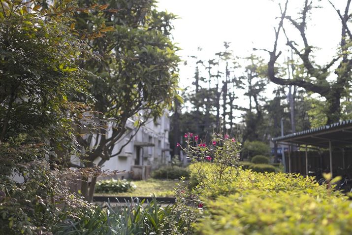 EOS R10ARF24mm f1.8 MACRO IS STMA24mmi35mmZ38mmjAF1.8A1/1250bAISO100AzCgoXFI[gAsN`[X^CFX^_[hBeʐ^i6000×4000A15.0MBj