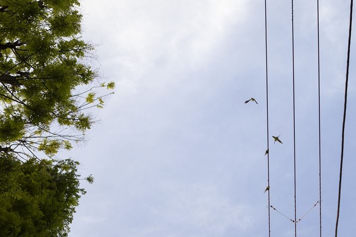 ̖ɏƂȂƃCȐWcB傫Ȗ؂邱̂ɂĂ̂ł傤AVłEOS R10ARF24mm f1.8 MACRO IS STMA24mmi35mmZ38mmjAF1.8A1/1250bAISO100AzCgoXFI[gAsN`[X^CFX^_[hBeʐ^i6000×4000A10.9MBj