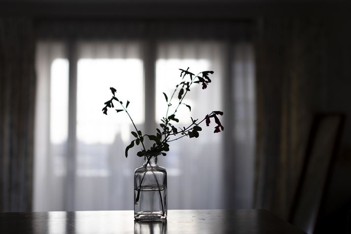 EOS R10ARF24mm f1.8 MACRO IS STMA24mmi35mmZ38mmjAF1.8A1/400bAISO100AzCgoXFI[gAsN`[X^CFX^_[hBeʐ^i6000×4000A7.0MBj