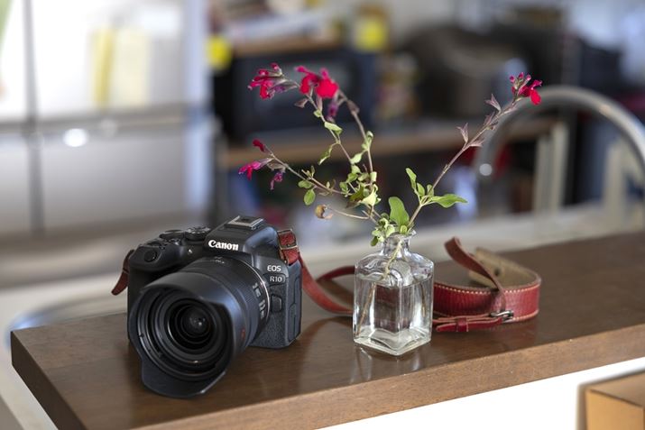 `F[Z[Wƍ̑_uEOS R10viuEOS R6 Mark IIvŎBej