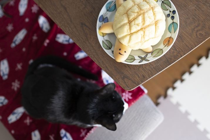 EOS R10ARF24mm f1.8 MACRO IS STMA24mmi35mmZ38mmjAF1.8A1/60bAISO800AzCgoXFI[gAsN`[X^CFX^_[hBeʐ^i6000×4000A13.9MBj