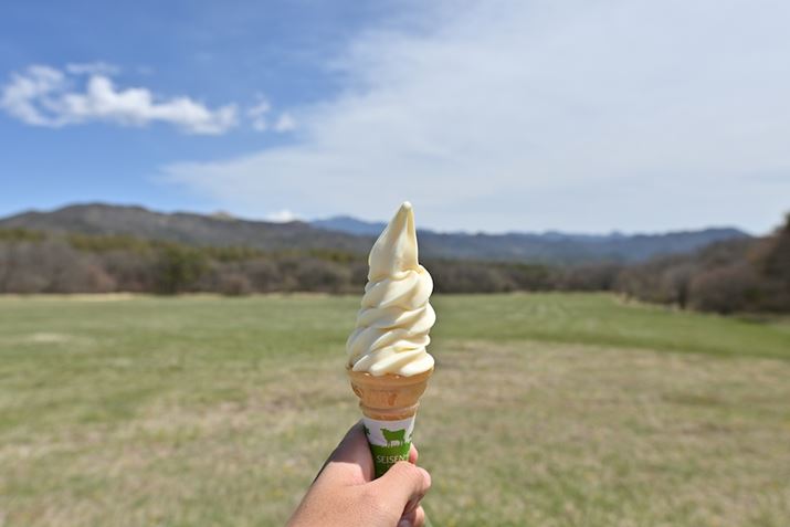 \tgN[ЎŎBe܂B35mmZŏœ_24mm̍Lp̂߁AЎBeł̃ucBłAt[~OeՂŖȂVb^[؂܂Z 50A16mm F1.4 DC DNA16mmi35mmZ24mmjAF3.5A1/4000bAISO100AzCgoXFVAsN`[Rg[FX^_[hAANeBuD-CeBOF苭߁ABlbgRg[FWA䂪ݕ␳FAܕ␳FBeʐ^i5568×3712A5.9MBj