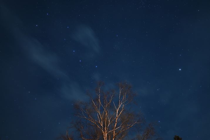 {Y͐iʐ^̎Beɂpł܂B̍ł́Ail͊JF1.4AVb^[Xs[h͐MM~܂Č8bɐݒ肵܂Bӂł̓R}܂̂ŁACɂȂꍇ͏iĎBƂ悢ł傤Z 50A16mm F1.4 DC DNA16mmi35mmZ24mmjAF1.4A8bAISO640AzCgoXFFuAsN`[Rg[FX^_[hAANeBuD-CeBOFȂABlbgRg[FWA䂪ݕ␳FAܕ␳FBeʐ^i5568×3712A6.3MBj