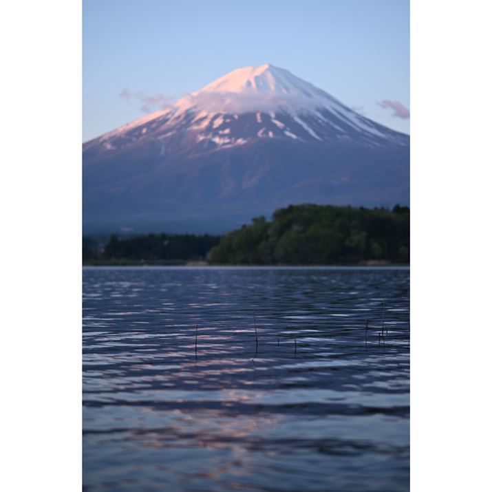 ΖʂɃsg킹āAxmRƃtNVBeBʒɃsg킹ƂŁAO̐ʂƉ̕xmR{PāÅ̂ʐ^Ɏdオ܂B܂A35mmZŏœ_84mmƂ]̉p̂ߓKxȈkʂĂ̂|CgB_Ci~bNȈۂ̎ʐ^ɎdオĂƎv܂Z 50A56mm F1.4 DC DNA56mmi35mmZ84mmjAF1.4A1/500bAISO100AzCgoXFVAsN`[Rg[FX^_[hAANeBuD-CeBOFȂABlbgRg[FWA䂪ݕ␳FAܕ␳FBeʐ^i3712×5568A6.7MBj