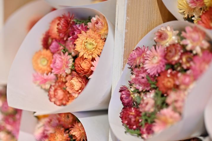 ÂŎBʐ^łBJF1.4̖邳𐶂ƂŁAISO200̒ኴxŎBeł܂B܂A̍ł́AsgʈȊO傫{PĂ̂ړ_Bʑ̂Ɋ邱ƂŃ{P͑傫Ȃ̂ŁA苭Ƃ́AĎBe邱Ƃ߂܂Z 50A56mm F1.4 DC DNA56mmi35mmZ84mmjAF1.4A1/100bAISO200AzCgoXFdAsN`[Rg[FX^_[hAANeBuD-CeBOF苭߁ABlbgRg[FWA䂪ݕ␳FAܕ␳FBeʐ^i5568×3712A7.0MBj