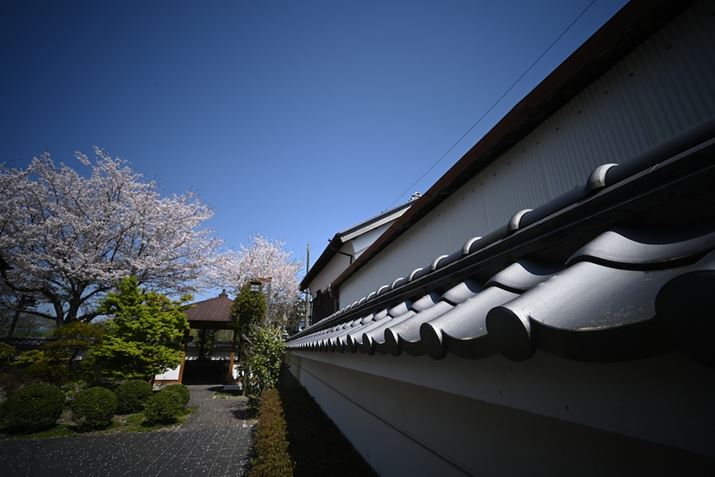 炭iBe悤ƎvABe邾ł͎UȎʐ^ɂȂ肻߁AEɕǂt[~OB邱ƂŉsoZ fcALAOWA 10mm F4 CookieA10mmi35mmZ15mmjA1/1000bAISO100AzCgoXFVAsN`[Rg[FX^_[hAANeBuD-CeBOFȂBeʐ^i5568×3712A7.9MBj