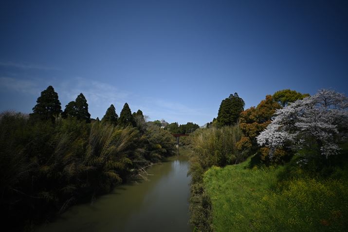 Lp̍iJȂ̂ŁAɑS̓Iɂ炩`ʂŁAӂ傫ĂBAỸTCYlƁAӂ܂ŔrIʂ͈肵ĂۂŁAӂ͋ɒ[ɑ傫Ă킯ł͂ȂBJł̓jAX̂ʂy߂ƌ邾낤Z fcALAOWA 10mm F4 CookieA10mmi35mmZ15mmjAF4A1/1250bAISO100AzCgoXFVAsN`[Rg[FX^_[hAANeBuD-CeBOFȂBeʐ^i5568×3712A8.3MBj