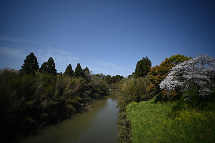 {ŉʒ̏ƁAF4ƔׂăV[vĂ̂킩BAY̐\ôȂAiق悢Z fcALAOWA 10mm F4 CookieA10mmi35mmZ15mmjAF5.6A1/800bAISO100AzCgoXFVAsN`[Rg[FX^_[hAANeBuD-CeBOFȂBeʐ^i5568×3712A8.7MBj