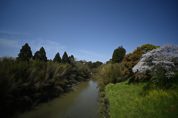 F8ƓlɈ肵掿𓾂ĂBi邱ƂŁAӌPĂ̂킩Z fcALAOWA 10mm F4 CookieA10mmi35mmZ15mmjAF11A1/200bAISO100AzCgoXFVAsN`[Rg[FX^_[hAANeBuD-CeBOFȂBeʐ^i5568×3712A9.2MBj