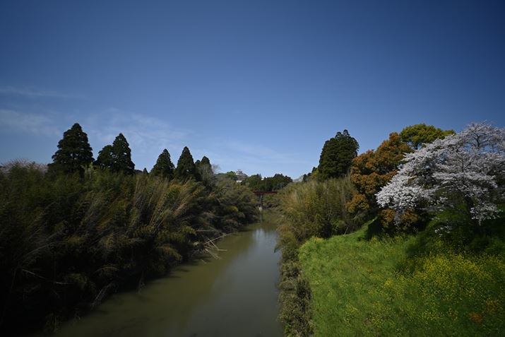 F16肩A܌ۂɂ掿̗򉻂Z fcALAOWA 10mm F4 CookieA10mmi35mmZ15mmjAF16A1/100bAISO100AzCgoXFVAsN`[Rg[FX^_[hAANeBuD-CeBOFȂBeʐ^i5568×3712A8.9MBj