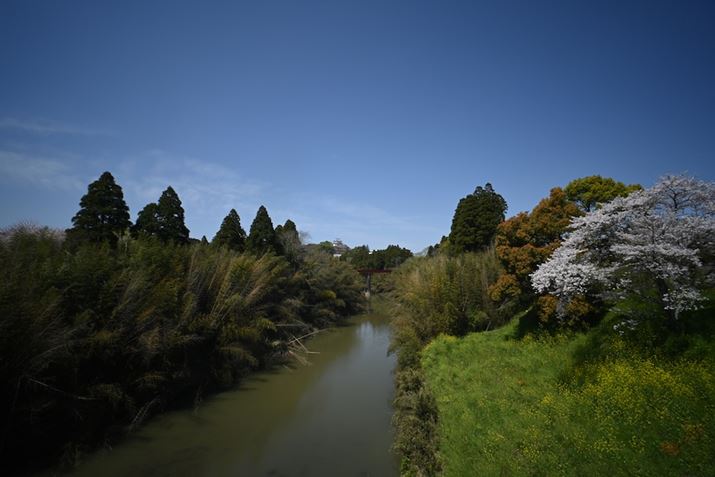 F16؁X̃V[vĂ̂킩Z fcALAOWA 10mm F4 CookieA10mmi35mmZ15mmjAF22A1/50bAISO100AzCgoXFVAsN`[Rg[FX^_[hAANeBuD-CeBOFȂBeʐ^i5568×3712A8.2MBj