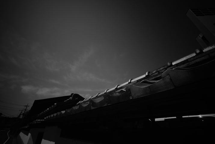 ilɂĎӌʂ̗𒲐ł邽߁Aʑ̂̃C[Wɍ킹čilIƂ悢낤B̎ʐ^F8ŎBeĂZ fcALAOWA 10mm F4 CookieA10mmi35mmZ15mmjAF8A1/1600bAISO100AzCgoXFVANGCeBusN`[Rg[FJ[{AANeBuD-CeBOFȂBeʐ^i5568×3712A3.6MBj