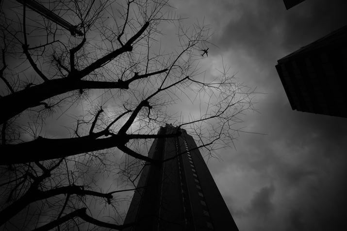 F8܂ōi邱ƂɂāAiĴ炩ςăV[vɕ\łB؂̎}1{1{NɎʂAr̃fBe[ƕ\łĂZ fcALAOWA 10mm F4 CookieA10mmi35mmZ15mmjAF8A1/640bAISO100AzCgoXFVANGCeBusN`[Rg[FJ[{AANeBuD-CeBOFȂBeʐ^i5568×3712A5.5MBj