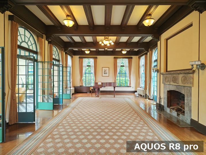 AQUOS R8 proAY[F0.7{AxFISO50AVb^[Xs[hF1/710bAilFF1.9AzCgoXFI[gAI[gHDRFIBeʐ^i3968×2976A3.8MBj