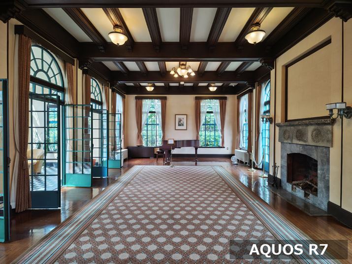 AQUOS R7AY[F0.7{AxFISO50AVb^[Xs[hF1/397bAilFF1.9AzCgoXFI[gAI[gHDRFIBeʐ^i3968×2976A4.4MBj