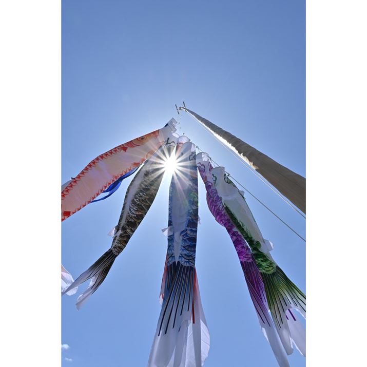 ilF16ŎBeZ 30ANIKKOR Z DX 12-28mm f/3.5-5.6 PZ VRA12mmi35mmZ18mmjAF16A1/250bAISO100AzCgoXFVAsN`[Rg[FX^_[hAANeBuD-CeBOF苭߁ABlbgRg[FWA䂪ݕ␳FAܕ␳FBeʐ^i3712×5568A11.1MBj