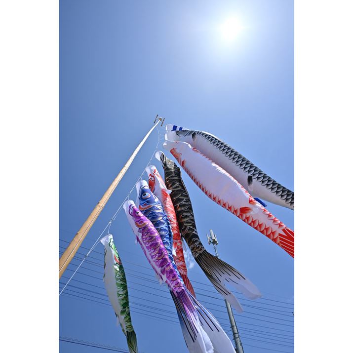 ilF4ŎBeZ 30ANIKKOR Z DX 12-28mm f/3.5-5.6 PZ VRA12mmi35mmZ18mmjAF4A1/2500bAISO100AzCgoXFVAsN`[Rg[FX^_[hAANeBuD-CeBOF苭߁ABlbgRg[FWA䂪ݕ␳FAܕ␳FBeʐ^i3712×5568A7.9MBj