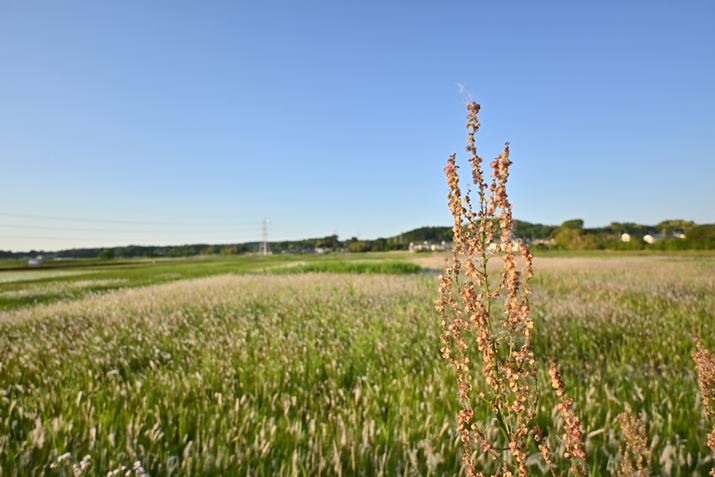 Lp[̊JF3.5ŎBeZ 30ANIKKOR Z DX 12-28mm f/3.5-5.6 PZ VRA12mmi35mmZ18mmjAF3.5A1/800bAISO100AzCgoXFVAsN`[Rg[FX^_[hAANeBuD-CeBOF苭߁ABlbgRg[FWA䂪ݕ␳FAܕ␳FBeʐ^i5568×3712A7.3MBj