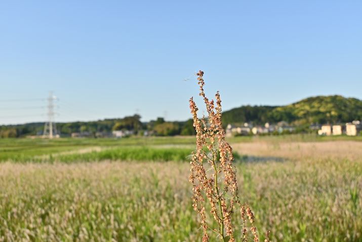 ][̊JF5.6ŎBeZ 30ANIKKOR Z DX 12-28mm f/3.5-5.6 PZ VRA12mmi35mmZ18mmjAF5.6A1/320bAISO100AzCgoXFVAsN`[Rg[FX^_[hAANeBuD-CeBOF苭߁ABlbgRg[FWA䂪ݕ␳FAܕ␳FBeʐ^i5568×3712A6.8MBj