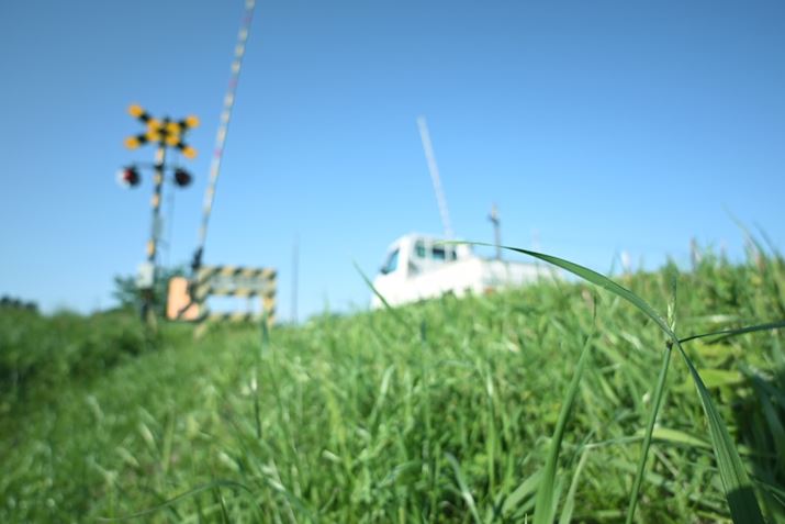 Z 30ANIKKOR Z DX 12-28mm f/3.5-5.6 PZ VRA12mmi35mmZ18mmjAF3.5A1/800bAISO100AzCgoXFVAsN`[Rg[F[jOiKpx50%jAANeBuD-CeBOFȂABlbgRg[FWA䂪ݕ␳FAܕ␳FBeʐ^i5568×3712A6.2MBj