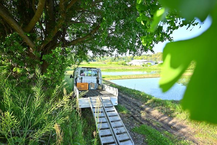 Z 30ANIKKOR Z DX 12-28mm f/3.5-5.6 PZ VRA12.5mmi35mmZ18mmjAF3.5A1/320bAISO100AzCgoXFVAsN`[Rg[F|bviKpx80%jAANeBuD-CeBOF苭߁ABlbgRg[FWA䂪ݕ␳FAܕ␳FBeʐ^i5568×3712A12.4MBj