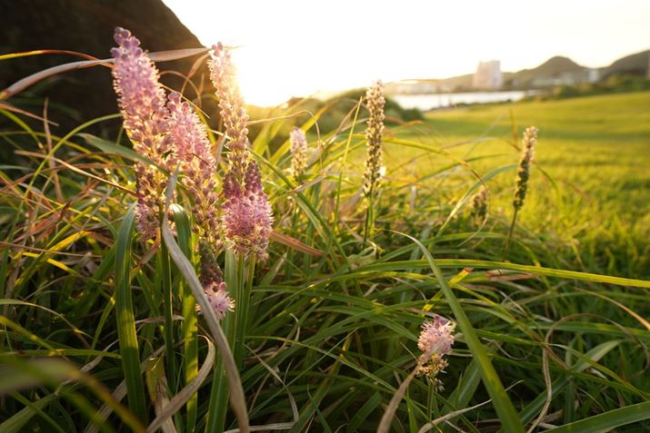 7 IVA20mm F1.4 DG DNAISO100AF8A1/13bAzCgoXFAANGCeBubNFSTBeʐ^i7008×4672A17.7MBj