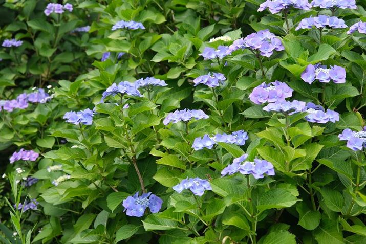 X-H2AXF16-80mmF4 R OIS WRM OISA48.5mmi35mmZ73mmjAISO200AF4A1/100bAzCgoXFI[gi͋CDjAtBV~[VFPROVIA/X^_[hBeʐ^i7728×5152A21.9MBj