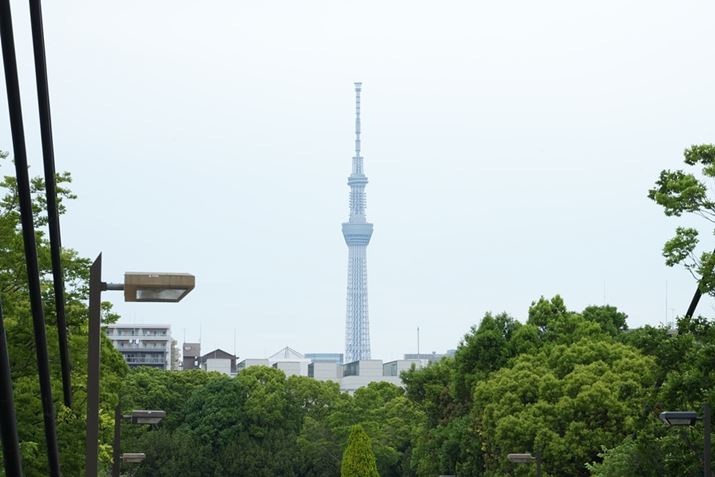 7 IVAFE 24-105mm F4 G OSSA105mmAISO400AF16A1/30bAzCgoXFI[gANGCeBubNFSTBeʐ^i7008×4672A15.4MBj