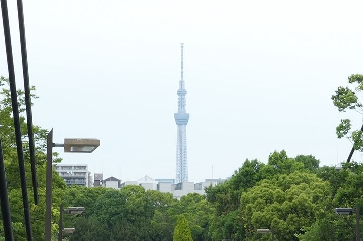 7 IVAFE 24-105mm F4 G OSSA24mmAISO400AF16A1/30bAzCgoXFI[gANGCeBubNFST摜i1600×1065A1.2MBj