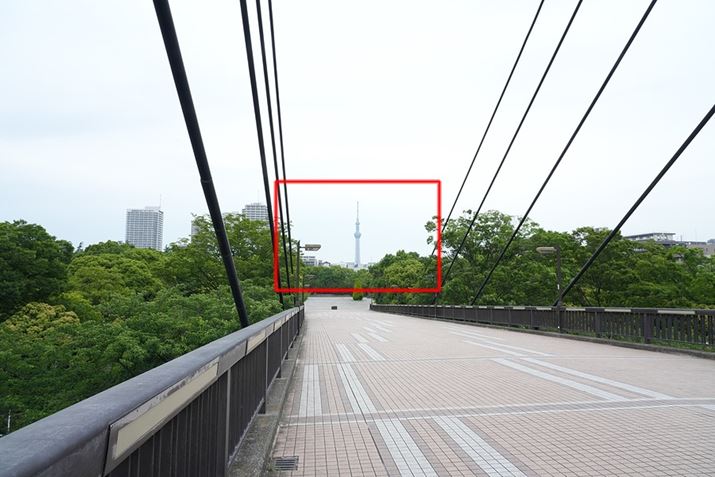 œ_24mmŎBeʐ^Ԙg؂܂