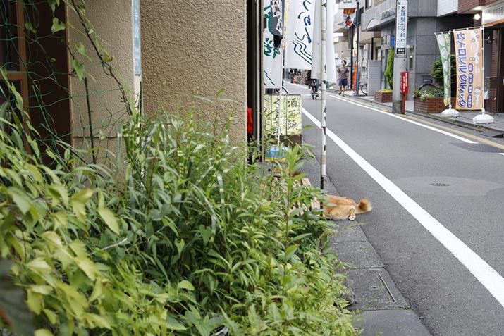 ̂l܂҂̂KHɂ͂ݏoĂ̂Ŏv킸p`EOS R100ARF28mm F2.8 STMA28mmi35mmZ45mmjAF5.6A1/125bAISO160AzCgoXFI[gAsN`[X^CFX^_[h