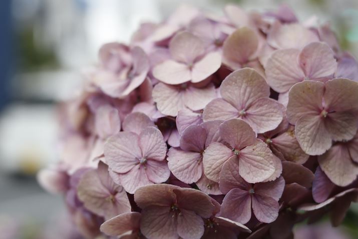 EOS R100ARF28mm F2.8 STMA28mmi35mmZ45mmjAF2.8A1/400bAISO100AzCgoXFI[gAsN`[X^CFX^_[hBeʐ^i6000×4000A5.8MBj