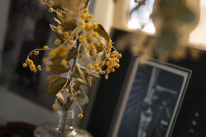 EOS R100ARF28mm F2.8 STMA28mmi35mmZ45mmjAF2.8A1/60bAISO4000AzCgoXFI[gAsN`[X^CFX^_[hBeʐ^i6000×4000A7.5MBj