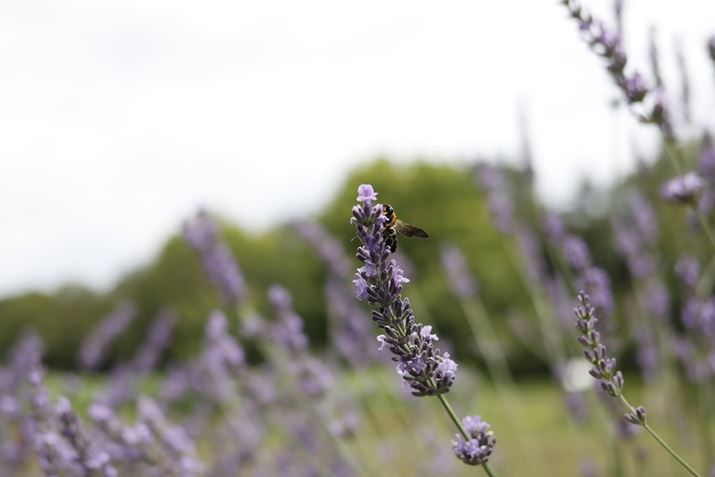 EOS R100ARF28mm F2.8 STMA28mmi35mmZ45mmjAF2.8A1/1000bAISO100AzCgoXFI[gAsN`[X^CFX^_[hBeʐ^i6000×4000A4.2MBj