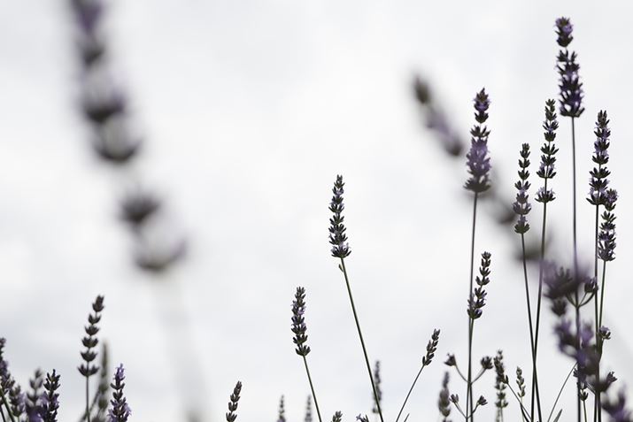 EOS R100ARF28mm F2.8 STMA28mmi35mmZ45mmjAF2.8A1/2000bAISO100AzCgoXFI[gAsN`[X^CFX^_[hBeʐ^i6000×4000A4.0MBj